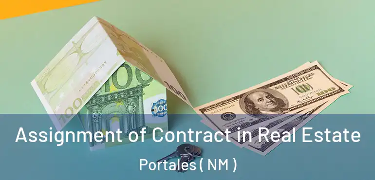  Assignment of Contract in Real Estate Portales ( NM )