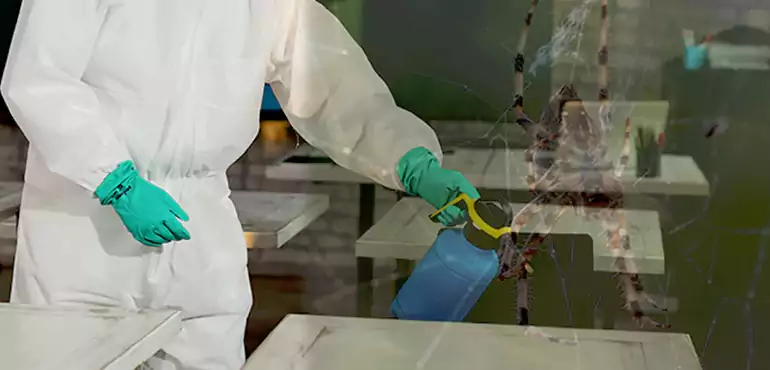 Why Buyers Still Want Homes With Pest Infestations in New Mexico, NM?