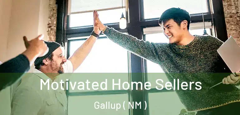  Motivated Home Sellers Gallup ( NM )