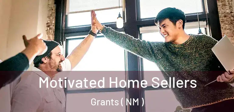  Motivated Home Sellers Grants ( NM )