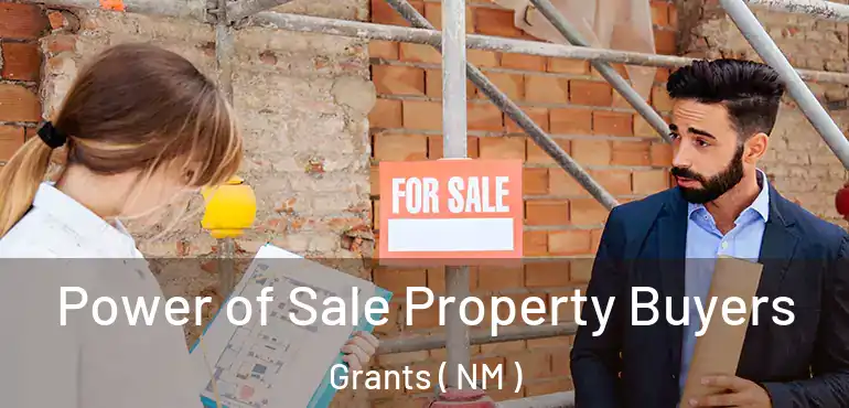  Power of Sale Property Buyers Grants ( NM )
