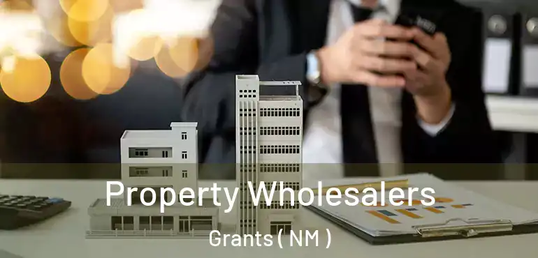  Property Wholesalers Grants ( NM )