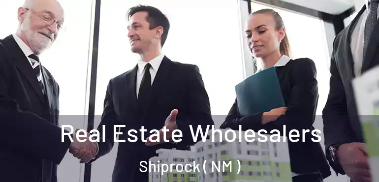  Real Estate Wholesalers Shiprock ( NM )