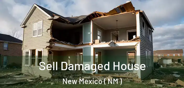  Sell Damaged House New Mexico ( NM )