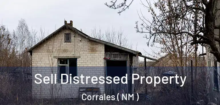 Sell Distressed Property Corrales ( NM )