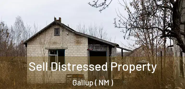  Sell Distressed Property Gallup ( NM )