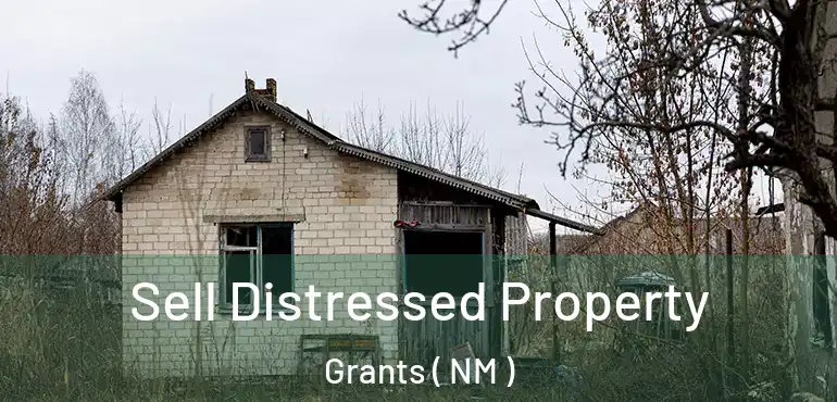  Sell Distressed Property Grants ( NM )