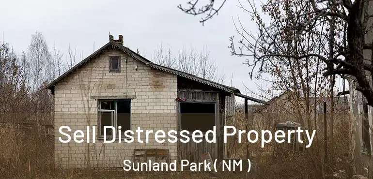  Sell Distressed Property Sunland Park ( NM )
