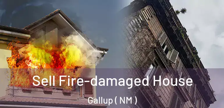  Sell Fire-damaged House Gallup ( NM )