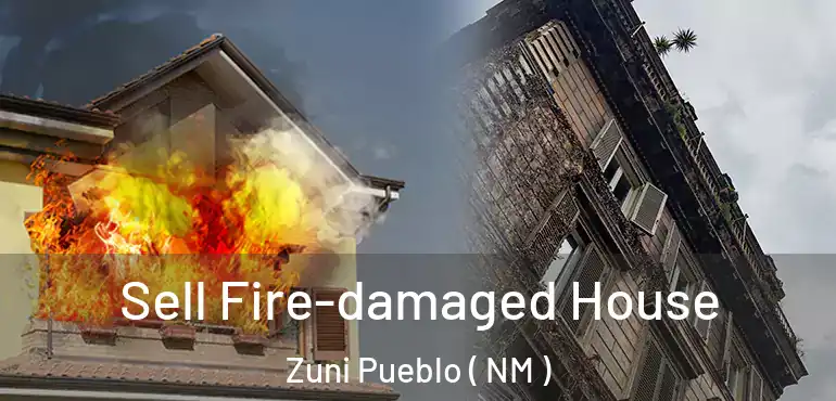  Sell Fire-damaged House Zuni Pueblo ( NM )