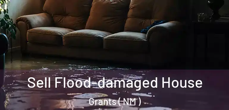  Sell Flood-damaged House Grants ( NM )
