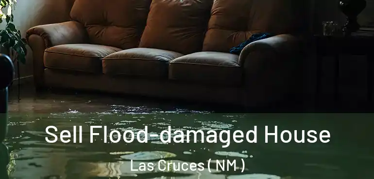  Sell Flood-damaged House Las Cruces ( NM )