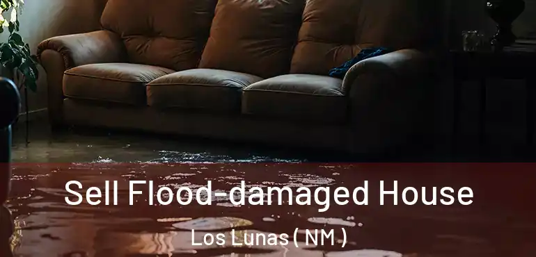  Sell Flood-damaged House Los Lunas ( NM )