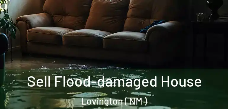  Sell Flood-damaged House Lovington ( NM )