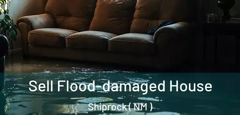  Sell Flood-damaged House Shiprock ( NM )
