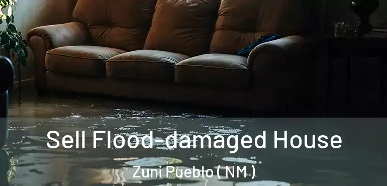  Sell Flood-damaged House Zuni Pueblo ( NM )