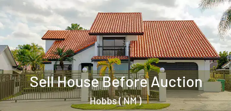  Sell House Before Auction Hobbs ( NM )