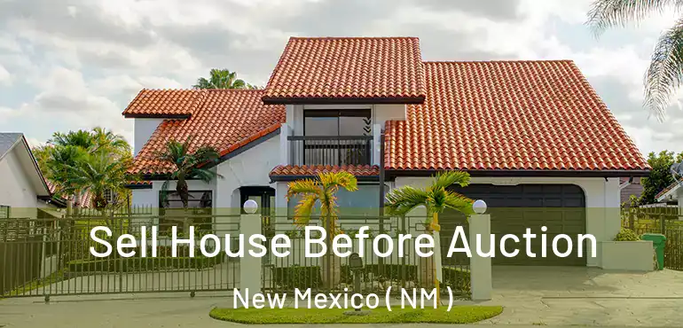  Sell House Before Auction New Mexico ( NM )