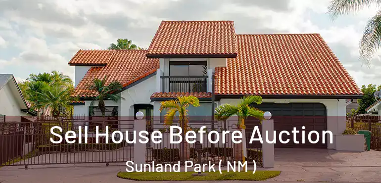  Sell House Before Auction Sunland Park ( NM )