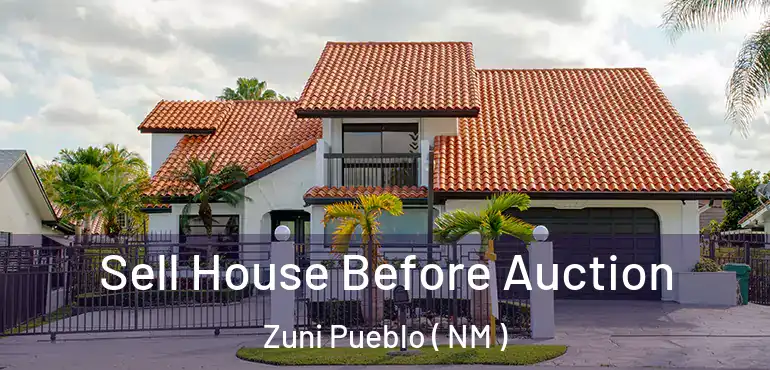  Sell House Before Auction Zuni Pueblo ( NM )