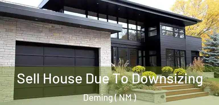  Sell House Due To Downsizing Deming ( NM )