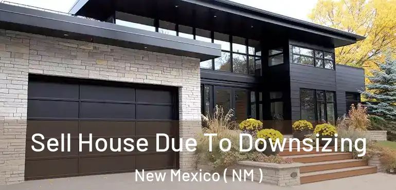  Sell House Due To Downsizing New Mexico ( NM )
