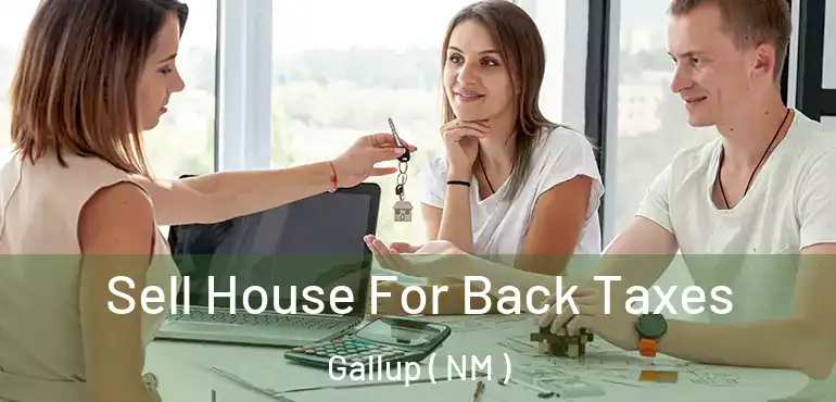  Sell House For Back Taxes Gallup ( NM )
