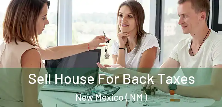  Sell House For Back Taxes New Mexico ( NM )