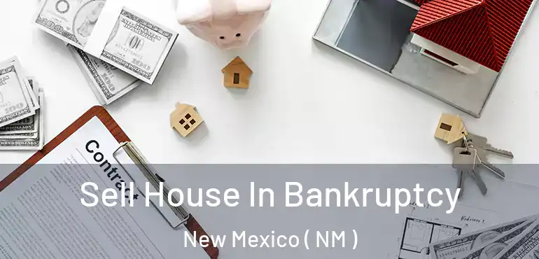  Sell House In Bankruptcy New Mexico ( NM )