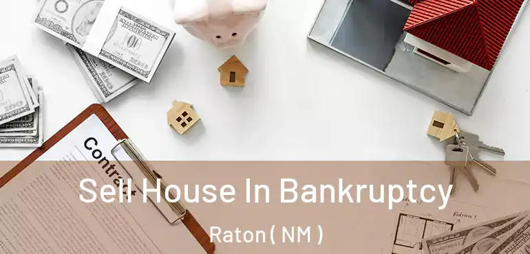  Sell House In Bankruptcy Raton ( NM )