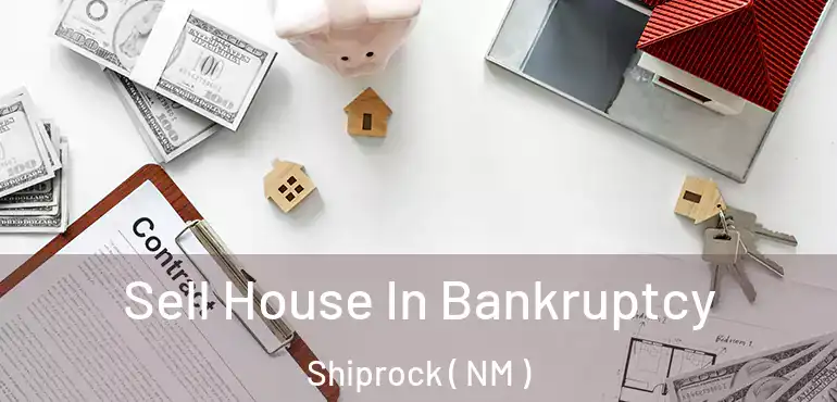  Sell House In Bankruptcy Shiprock ( NM )