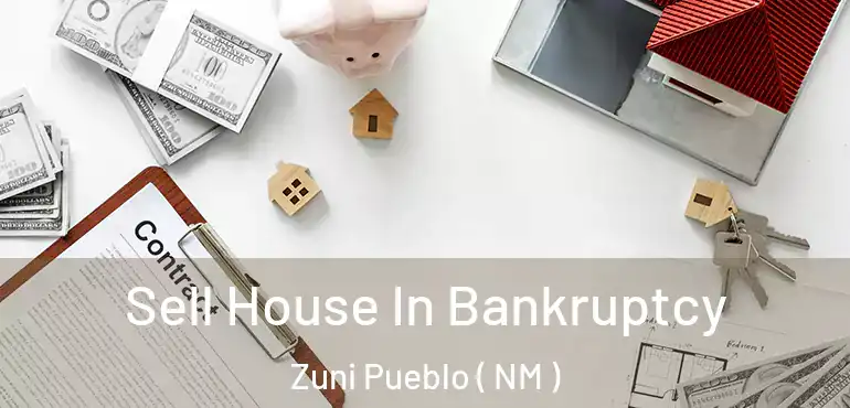  Sell House In Bankruptcy Zuni Pueblo ( NM )