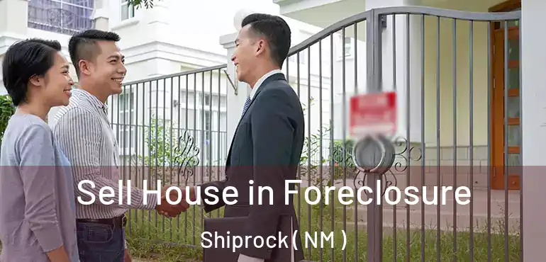  Sell House in Foreclosure Shiprock ( NM )