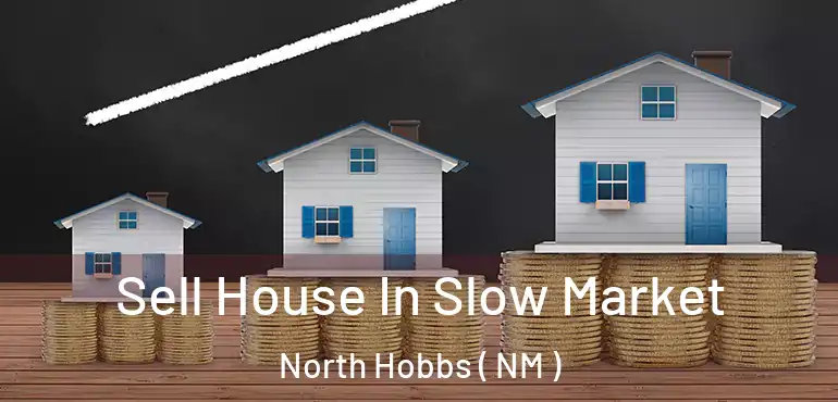  Sell House In Slow Market North Hobbs ( NM )