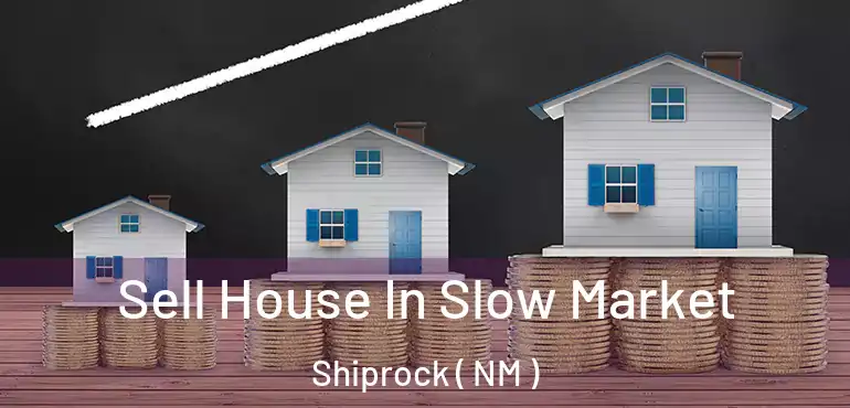  Sell House In Slow Market Shiprock ( NM )