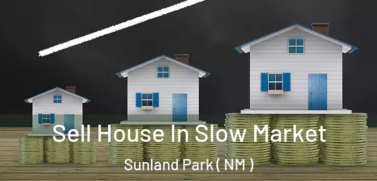  Sell House In Slow Market Sunland Park ( NM )