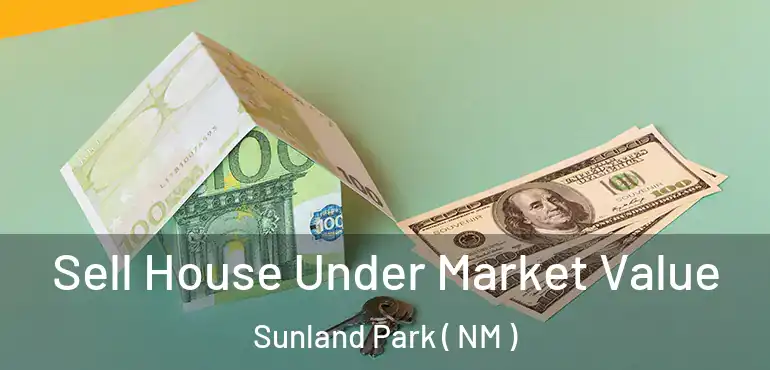  Sell House Under Market Value Sunland Park ( NM )