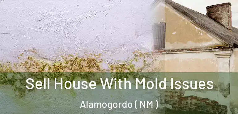  Sell House With Mold Issues Alamogordo ( NM )