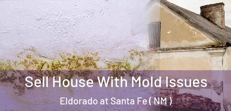  Sell House With Mold Issues Eldorado at Santa Fe ( NM )