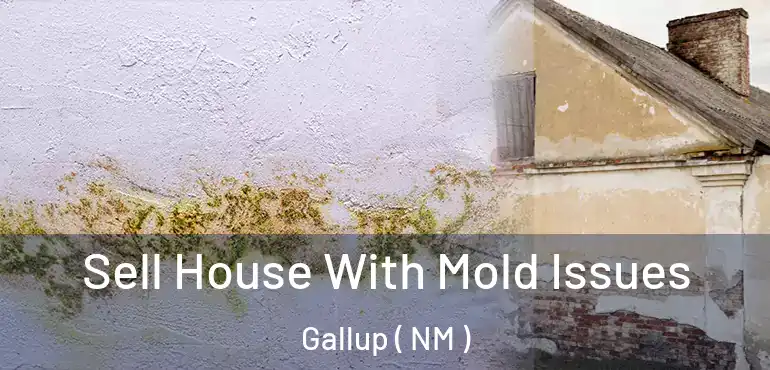  Sell House With Mold Issues Gallup ( NM )