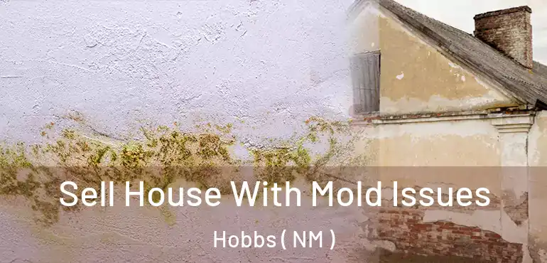  Sell House With Mold Issues Hobbs ( NM )