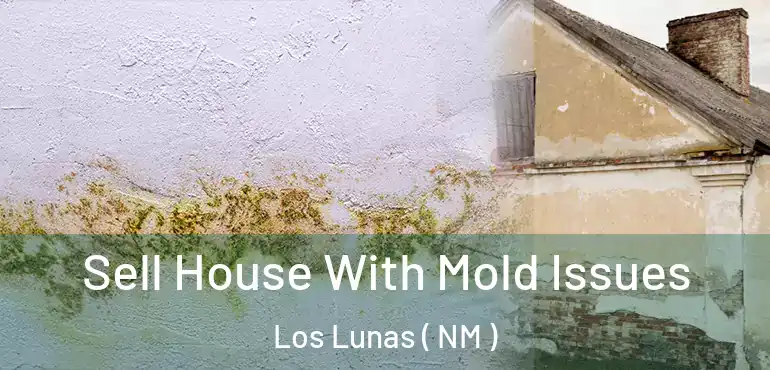 Sell House With Mold Issues Los Lunas ( NM )