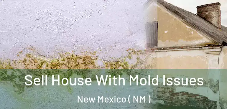  Sell House With Mold Issues New Mexico ( NM )
