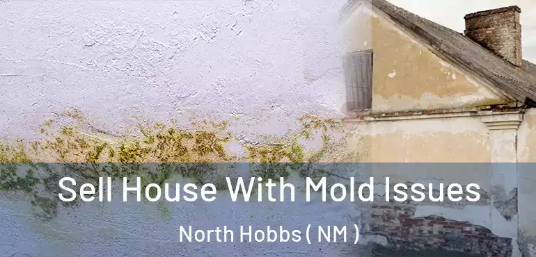  Sell House With Mold Issues North Hobbs ( NM )