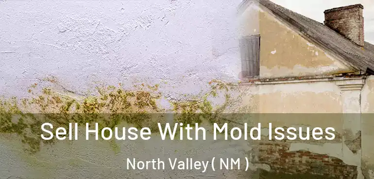  Sell House With Mold Issues North Valley ( NM )