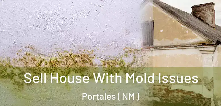  Sell House With Mold Issues Portales ( NM )