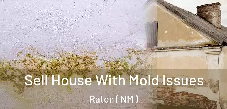  Sell House With Mold Issues Raton ( NM )