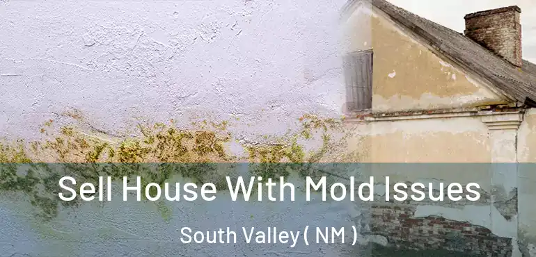  Sell House With Mold Issues South Valley ( NM )