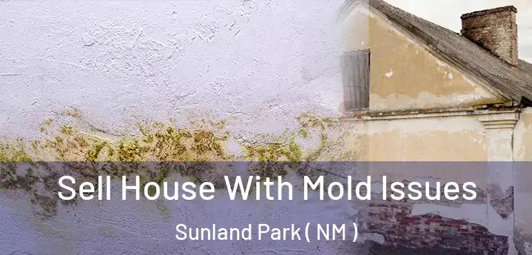  Sell House With Mold Issues Sunland Park ( NM )