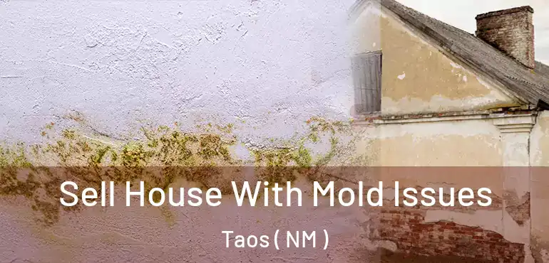  Sell House With Mold Issues Taos ( NM )